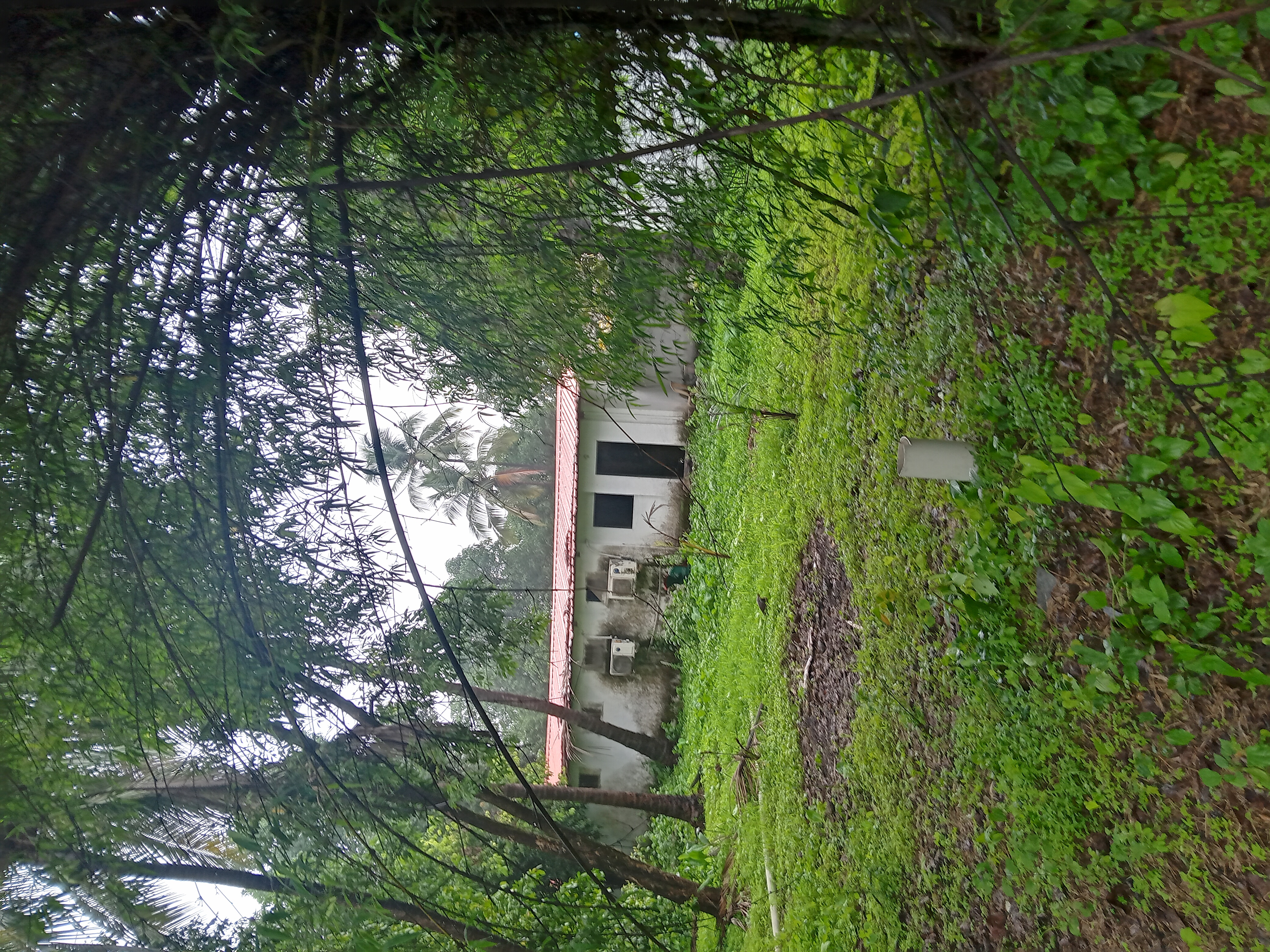 onevasi bore IMG 20250606 171452